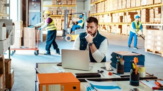 WFM 534 x 300 px.webp